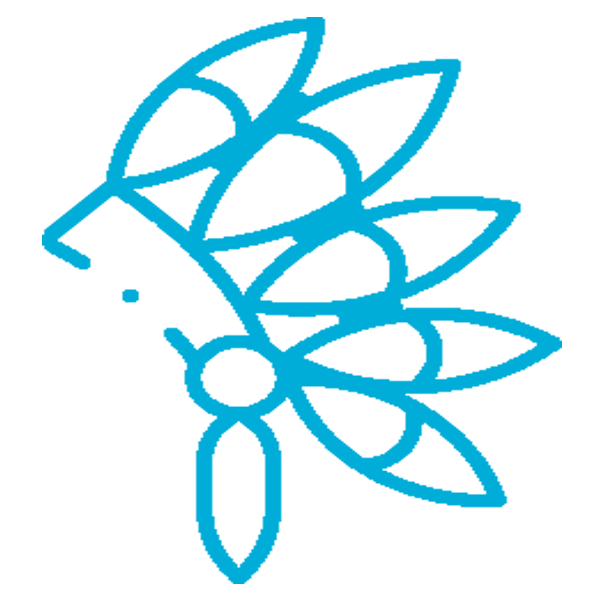 Head Dress Icon