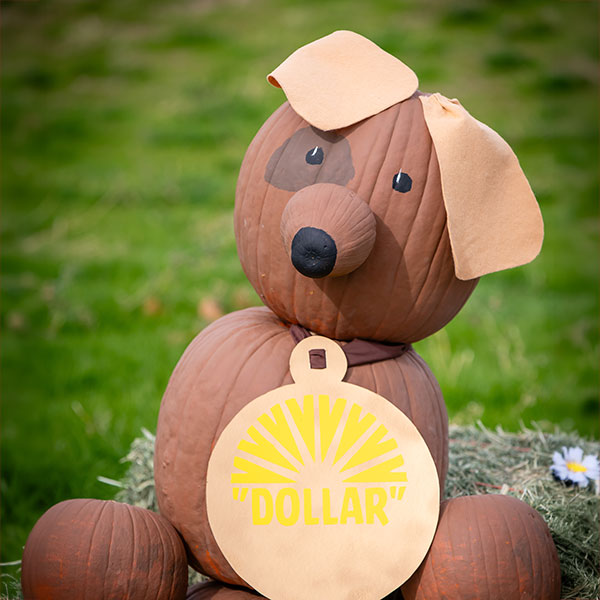Puppy Dog made of Pumpkins