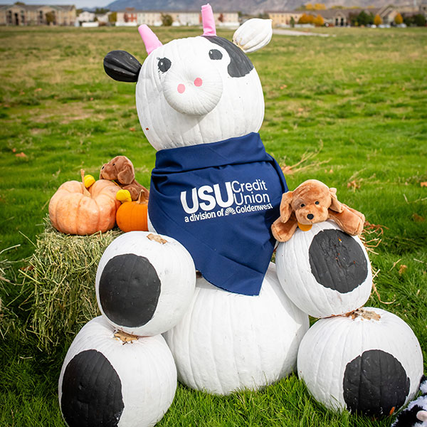 Cow made of Pumpkins