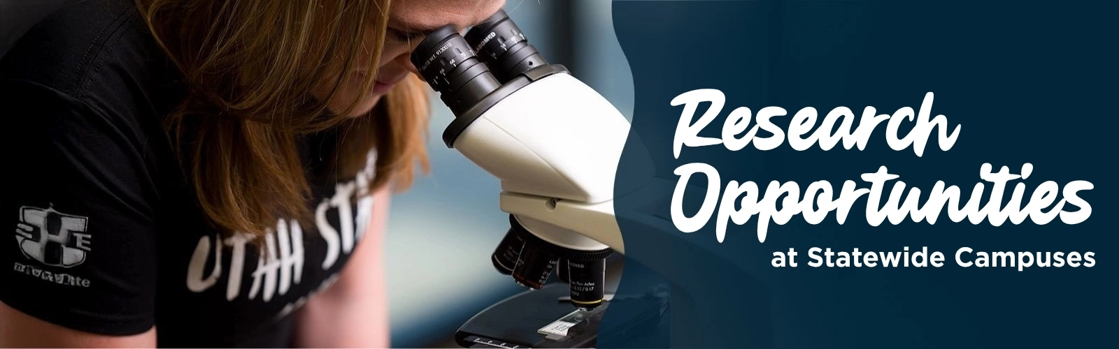 Research Opportunities at Statewide Campuses